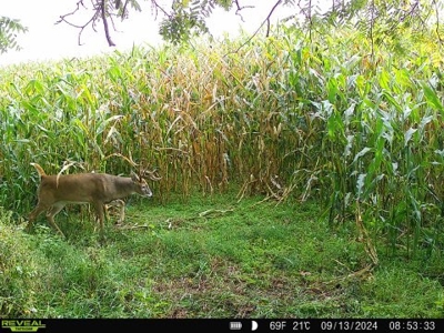 52+/- Acre Property Located on Lucky Lane in Crawford County - image 48