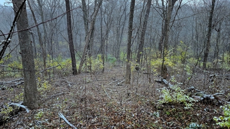 52+/- Acre Property Located on Lucky Lane in Crawford County - image 29