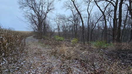 52+/- Acre Property Located on Lucky Lane in Crawford County - image 40