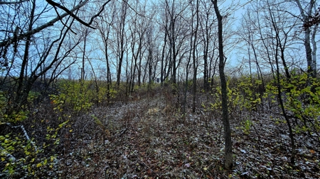 52+/- Acre Property Located on Lucky Lane in Crawford County - image 32