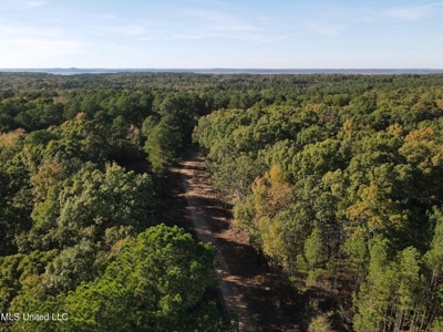 Carver Point Timber Tract in Grenada Co at Grenada Lake - image 4
