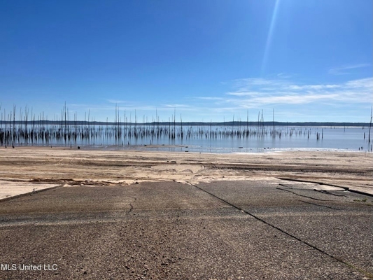 Carver Point Timber Tract in Grenada Co at Grenada Lake