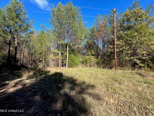 Carver Point Timber Tract in Grenada Co at Grenada Lake