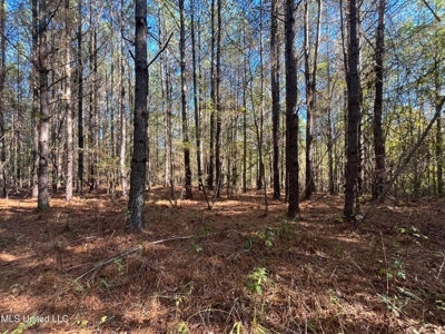 Carver Point Timber Tract in Grenada Co at Grenada Lake - image 22