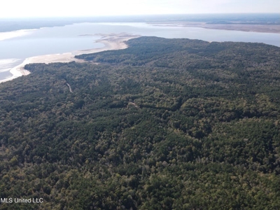 Carver Point Timber Tract in Grenada Co at Grenada Lake - image 1