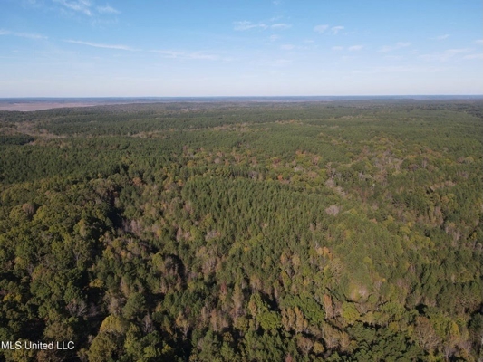 Carver Point Timber Tract in Grenada Co at Grenada Lake