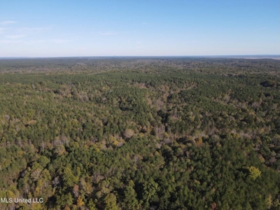 Carver Point Timber Tract in Grenada Co at Grenada Lake - image 17
