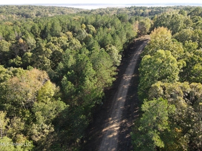 Carver Point Timber Tract in Grenada Co at Grenada Lake - image 5