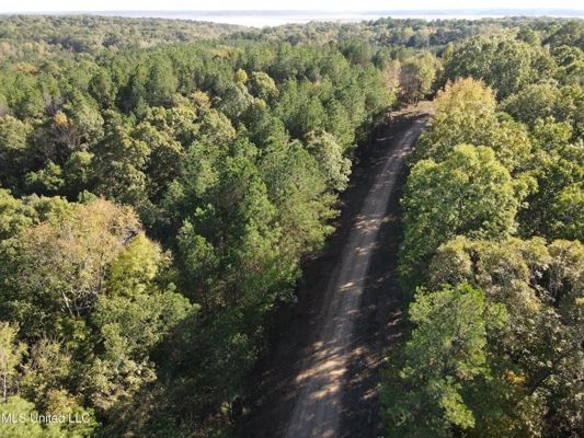 Carver Point Timber Tract in Grenada Co at Grenada Lake