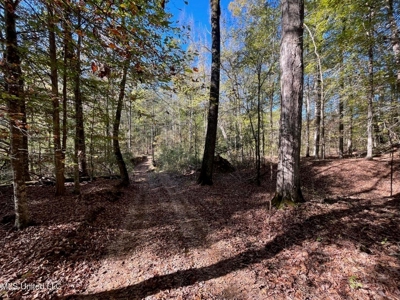 Carver Point Timber Tract in Grenada Co at Grenada Lake - image 43