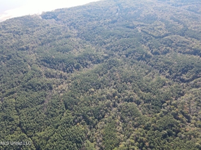 Carver Point Timber Tract in Grenada Co at Grenada Lake - image 10
