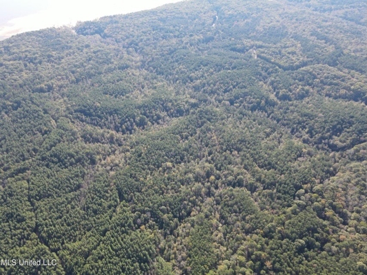 Carver Point Timber Tract in Grenada Co at Grenada Lake