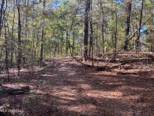 Carver Point Timber Tract in Grenada Co at Grenada Lake