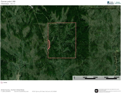 Carver Point Timber Tract in Grenada Co at Grenada Lake - image 46