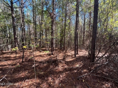 Carver Point Timber Tract in Grenada Co at Grenada Lake - image 27