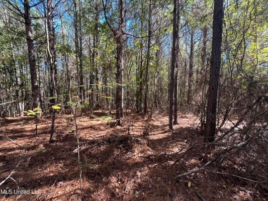 Carver Point Timber Tract in Grenada Co at Grenada Lake