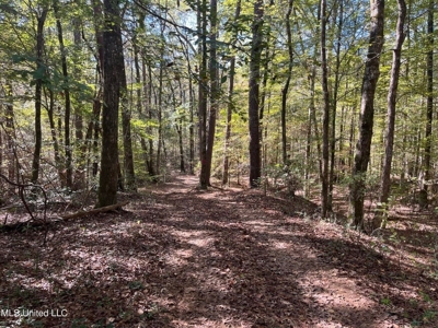 Carver Point Timber Tract in Grenada Co at Grenada Lake - image 42