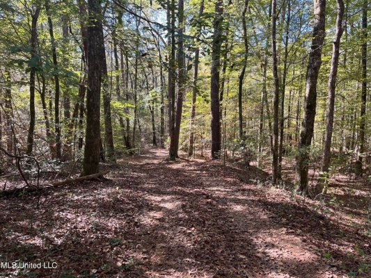 Carver Point Timber Tract in Grenada Co at Grenada Lake