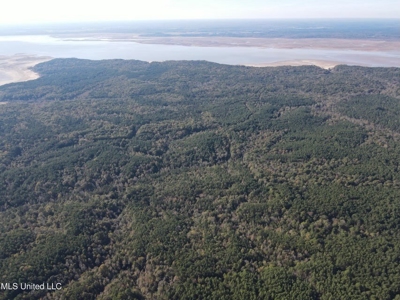 Carver Point Timber Tract in Grenada Co at Grenada Lake - image 14