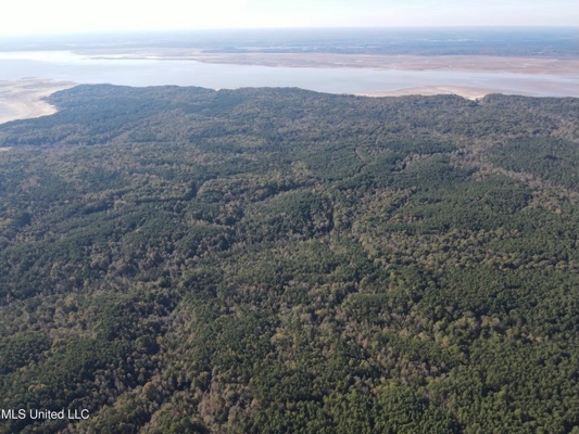 Carver Point Timber Tract in Grenada Co at Grenada Lake