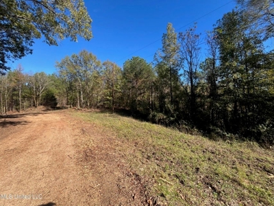 Carver Point Timber Tract in Grenada Co at Grenada Lake - image 24