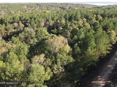 Carver Point Timber Tract in Grenada Co at Grenada Lake - image 8