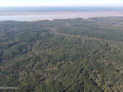 Carver Point Timber Tract in Grenada Co at Grenada Lake - image 15