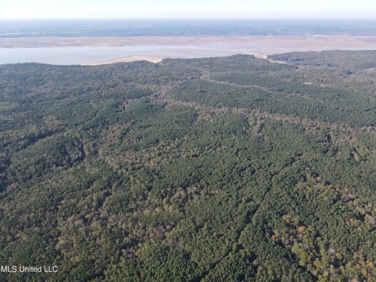 Carver Point Timber Tract in Grenada Co at Grenada Lake