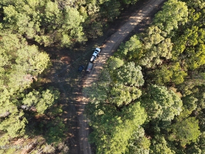 Carver Point Timber Tract in Grenada Co at Grenada Lake - image 11