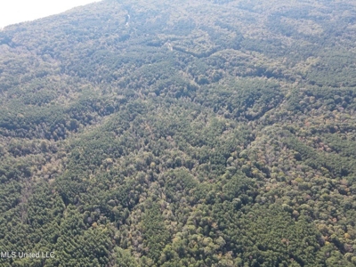 Carver Point Timber Tract in Grenada Co at Grenada Lake - image 9
