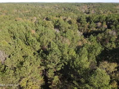 Carver Point Timber Tract in Grenada Co at Grenada Lake - image 7