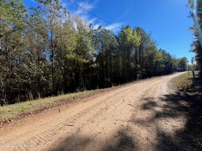 Carver Point Timber Tract in Grenada Co at Grenada Lake - image 26