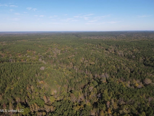 Carver Point Timber Tract in Grenada Co at Grenada Lake