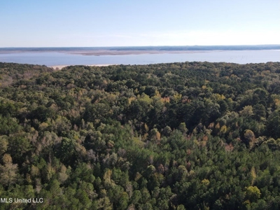 Carver Point Timber Tract in Grenada Co at Grenada Lake - image 2