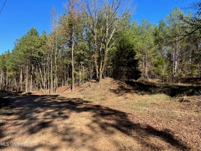 Carver Point Timber Tract in Grenada Co at Grenada Lake - image 23