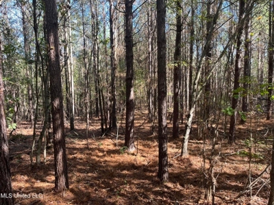 Carver Point Timber Tract in Grenada Co at Grenada Lake - image 30