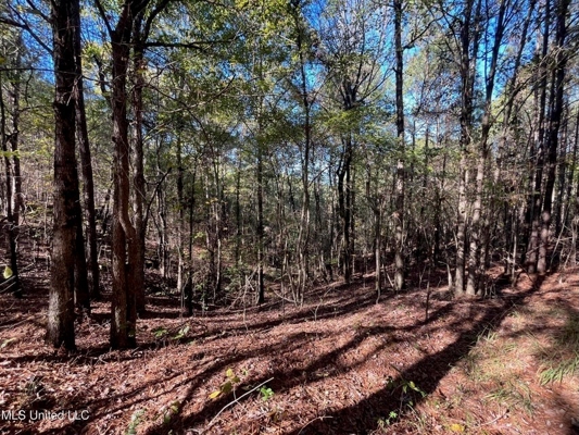 Carver Point Timber Tract in Grenada Co at Grenada Lake