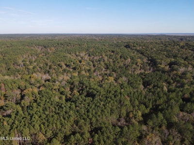 Carver Point Timber Tract in Grenada Co at Grenada Lake - image 3
