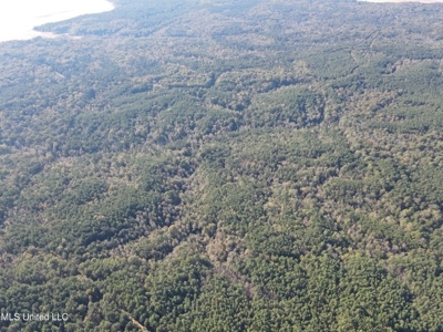 Carver Point Timber Tract in Grenada Co at Grenada Lake - image 13