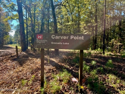 Carver Point Timber Tract in Grenada Co at Grenada Lake - image 39