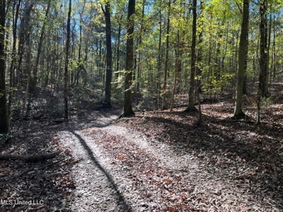 Carver Point Timber Tract in Grenada Co at Grenada Lake - image 44