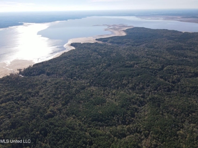 Carver Point Timber Tract in Grenada Co at Grenada Lake - image 12