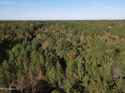 Carver Point Timber Tract in Grenada Co at Grenada Lake - image 6