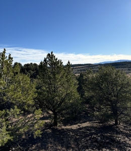 Northern New Mexico Land for Sale near Chama NM, Talavera - image 5