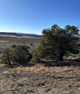 Northern New Mexico Land for Sale near Chama NM, Talavera - image 3