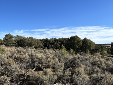 Northern New Mexico Land for Sale near Chama NM, Talavera - image 9