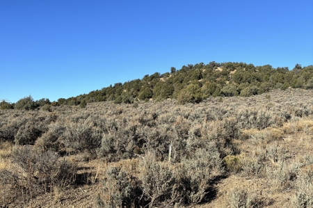 Northern New Mexico Land for Sale near Chama NM, Talavera - image 4