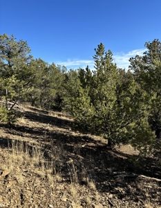Northern New Mexico Land for Sale near Chama NM, Talavera - image 6