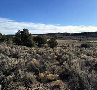 Northern New Mexico Land for Sale near Chama NM, Talavera - image 10