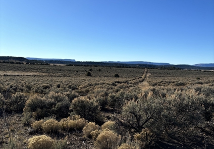 Northern New Mexico Land for Sale near Chama NM, Talavera - image 2
